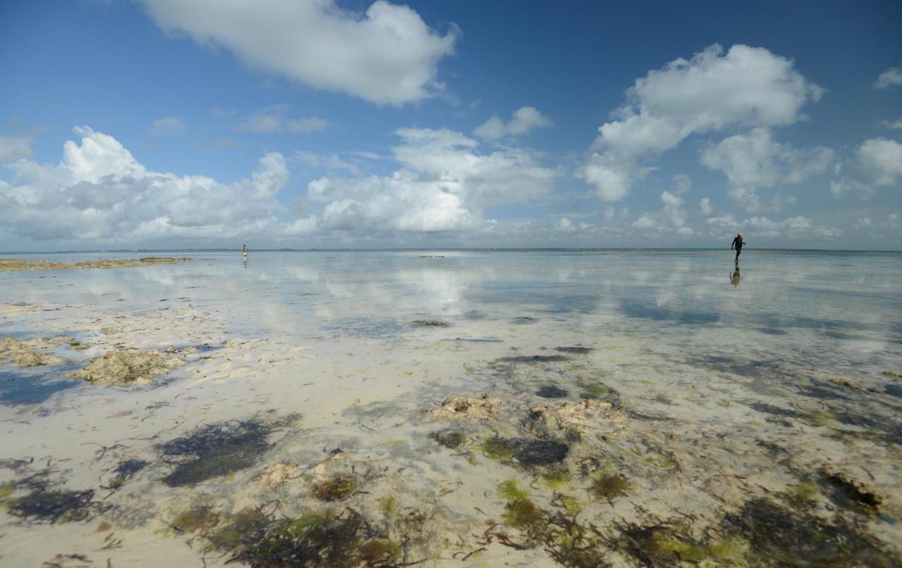 Afya Village At The Sea Michamvi 外观 照片