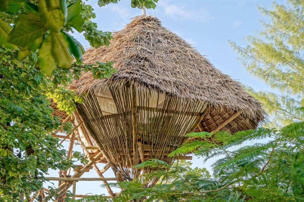 Afya Village At The Sea Michamvi 外观 照片